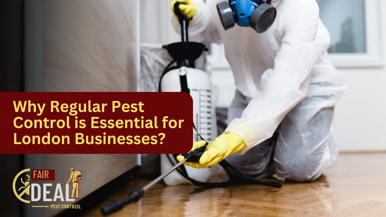 Why Regular Pest Control is Essential