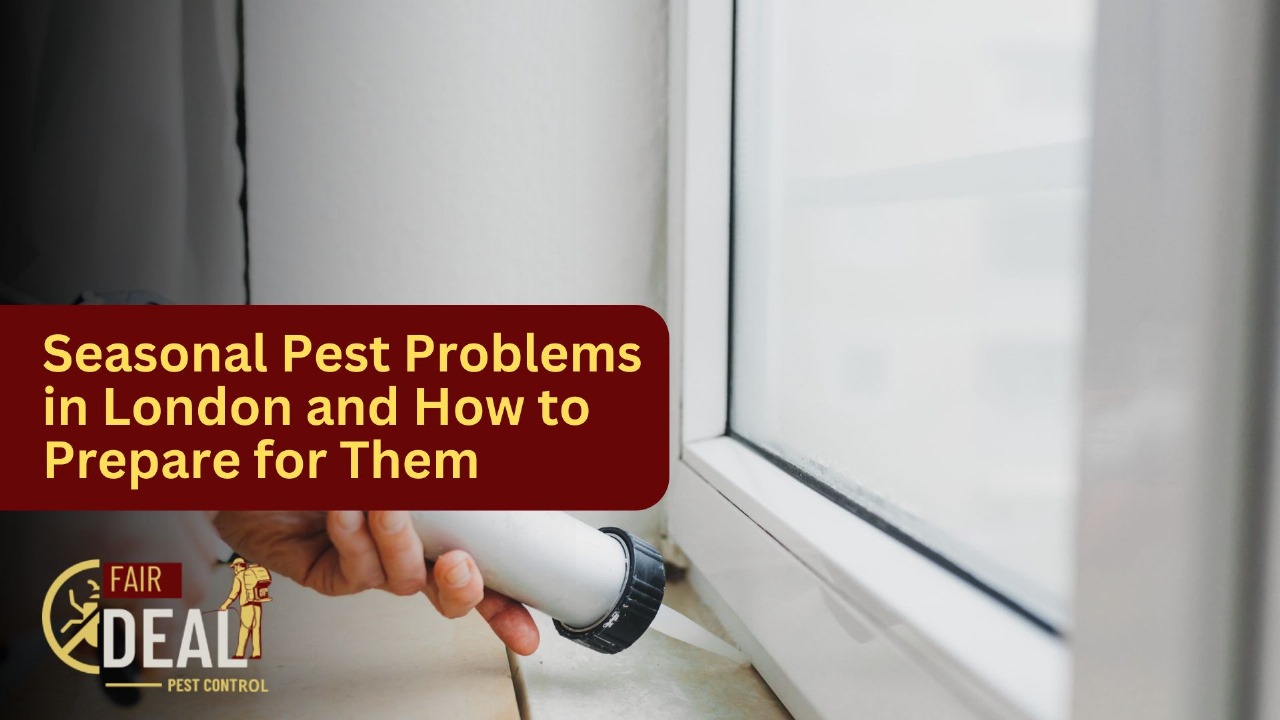 Seasonal Pest Problems in London