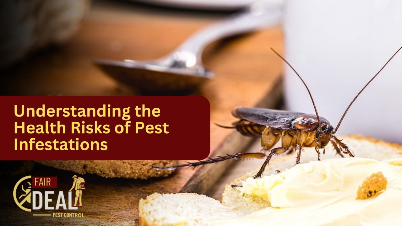 pest prevention tips for hillingdon homes