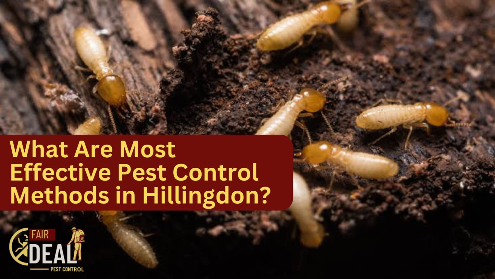 What Are Most Effective Pest Control Methods in Hillingdon?