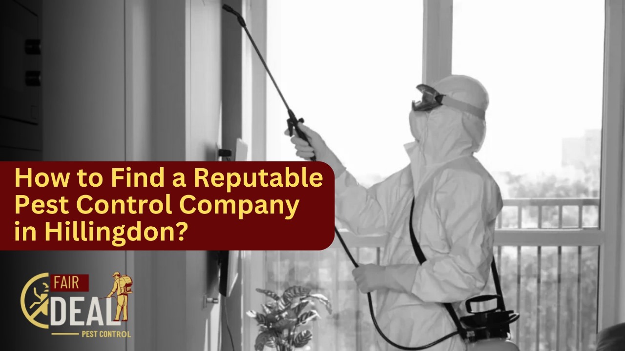 how to find a reputable pest control company