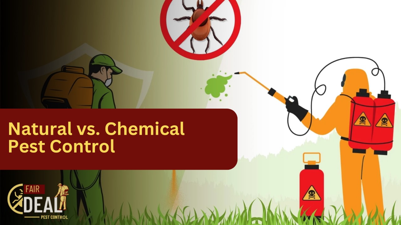 Natural vs chemical pest control