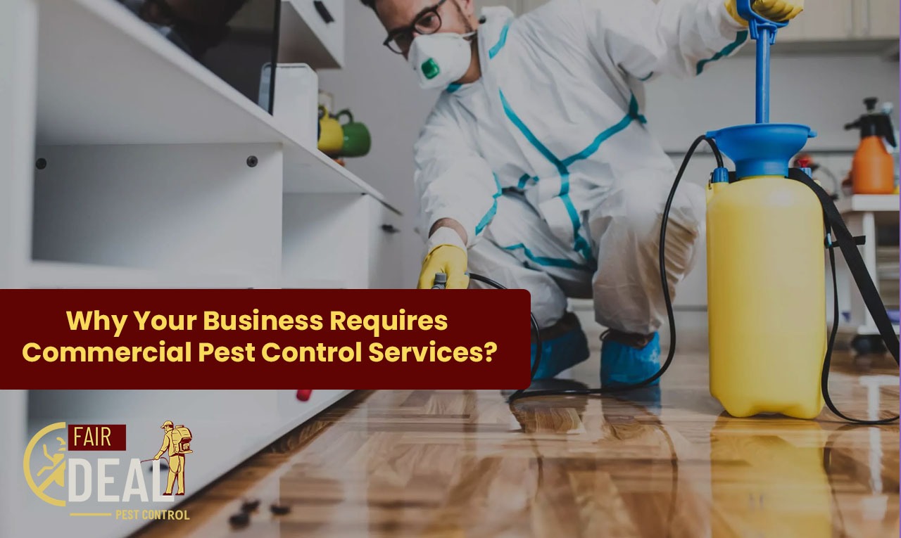 when to hire commercial pest control