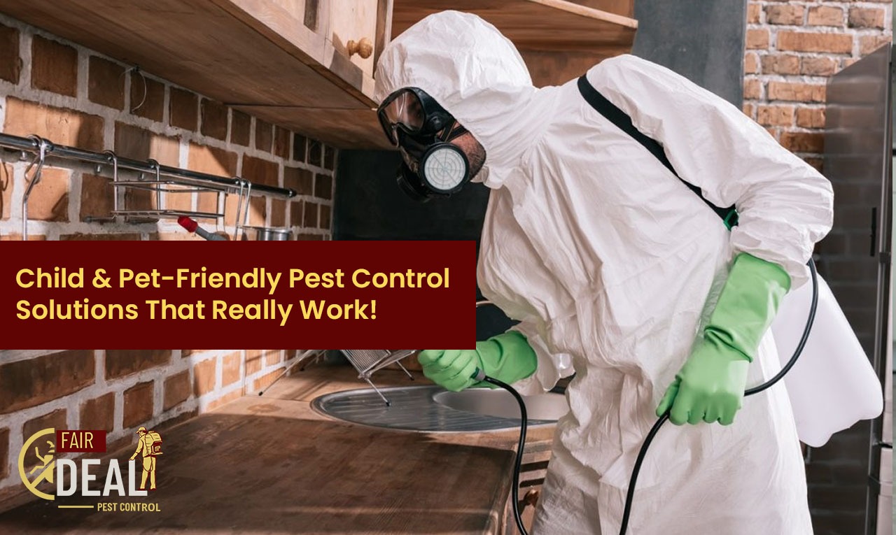 organic pest control for home