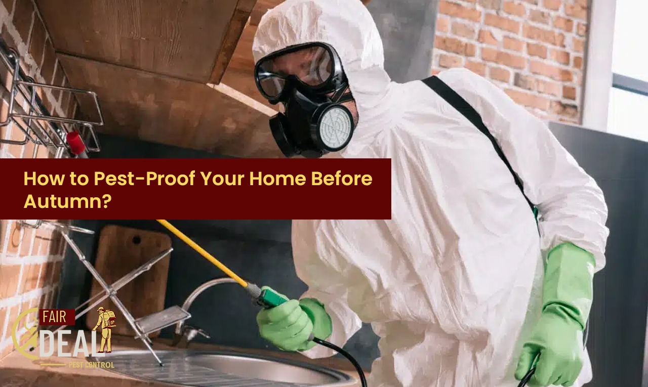 howtopestfreeyourhomebeforeautumn