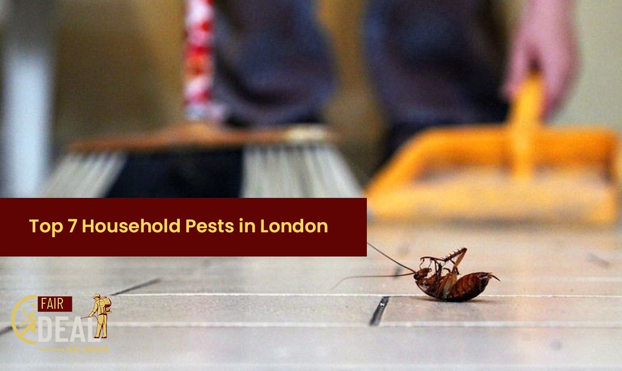 top7householdpestsinlondon