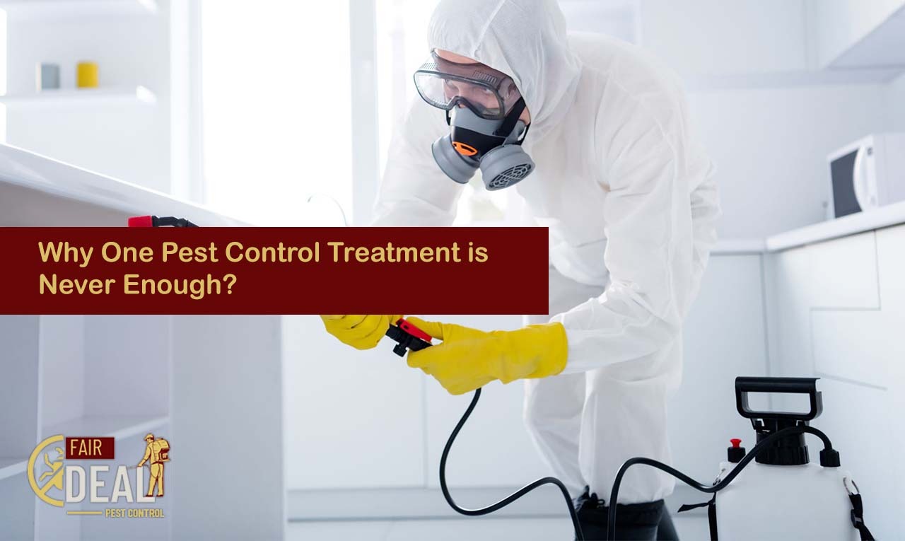 Why One Pest Control Treatment is Never Enough
