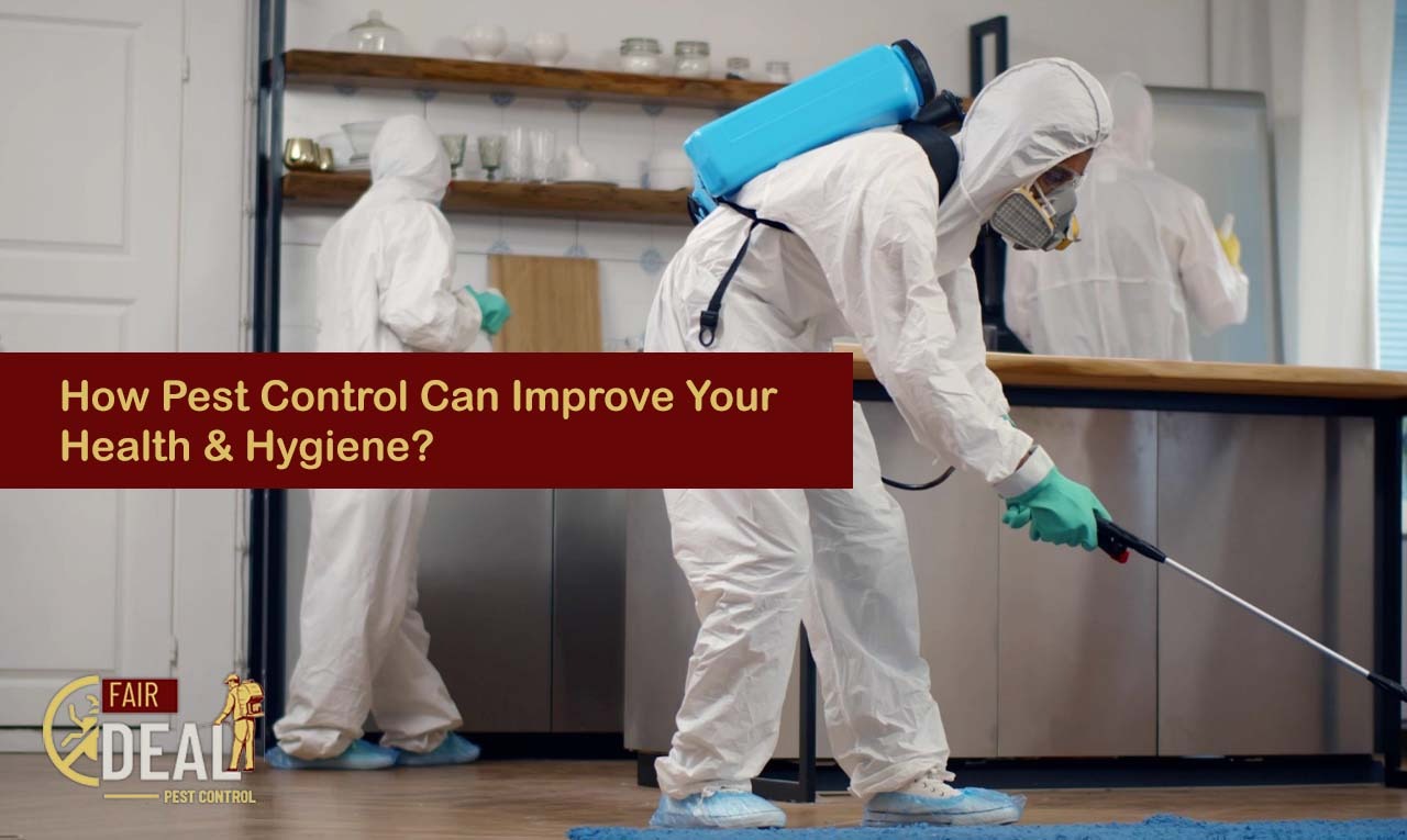 how pest control can improve your health and hygiene
