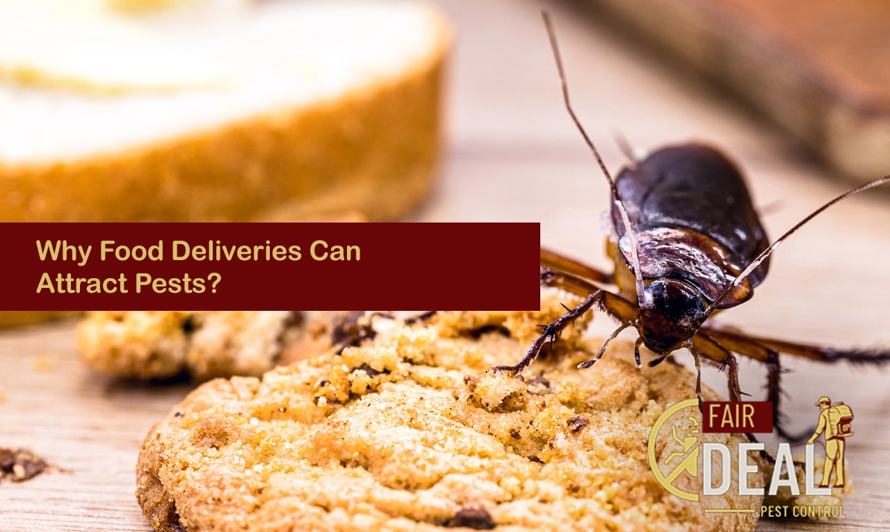 Why Food Deliveries Can Attract pests