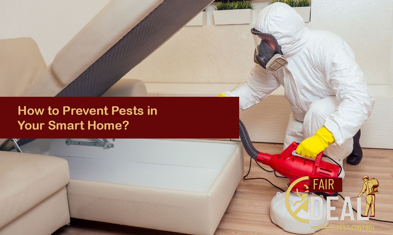 how to prevent pests in a smart home